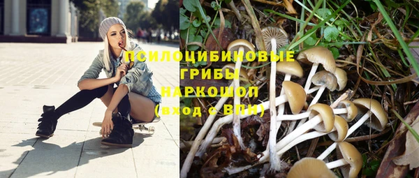 первитин Белоозёрский